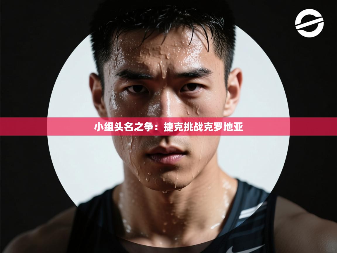 小组头名之争：捷克挑战克罗地亚  第2张